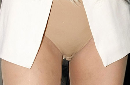 Lady Gaga's Sloppy Pussy in her Nude Leotard of the Day